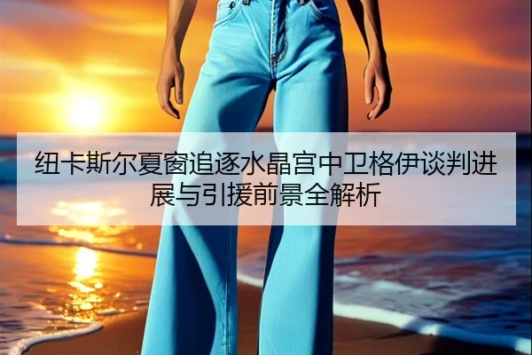 纽卡斯尔夏窗追逐水晶宫中卫格伊谈判进展与引援前景全解析