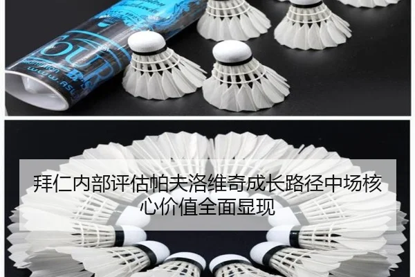 拜仁内部评估帕夫洛维奇成长路径中场核心价值全面显现