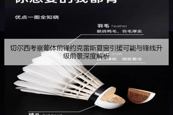 切尔西考察葡体前锋约克雷斯夏窗引援可能与锋线升级前景深度解析