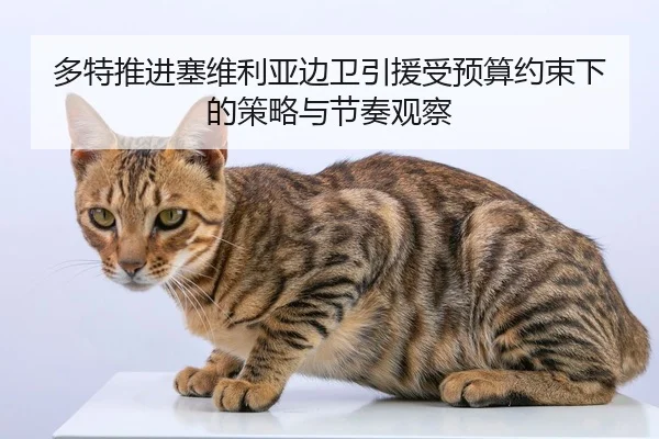 多特推进塞维利亚边卫引援受预算约束下的策略与节奏观察
